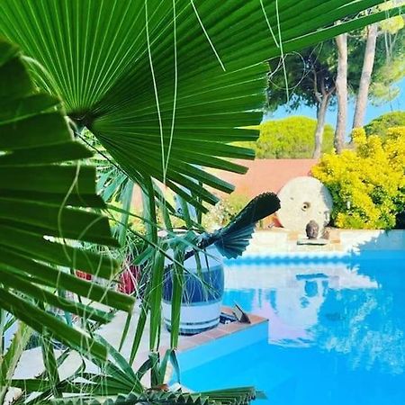 Hebergement Insolite Studio Grau Du Roi Mas Des Marines Piscine Le Grau-du-Roi Esterno foto