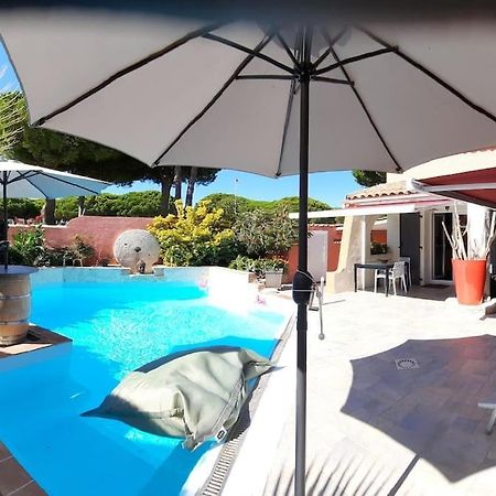 Hebergement Insolite Studio Grau Du Roi Mas Des Marines Piscine Le Grau-du-Roi Esterno foto