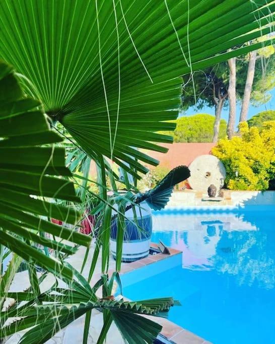 Hebergement Insolite Studio Grau Du Roi Mas Des Marines Piscine Le Grau-du-Roi Esterno foto