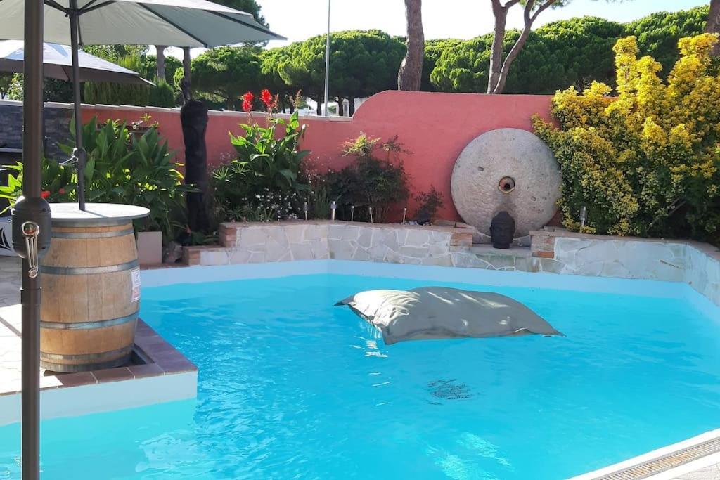 Hebergement Insolite Studio Grau Du Roi Mas Des Marines Piscine Le Grau-du-Roi Esterno foto